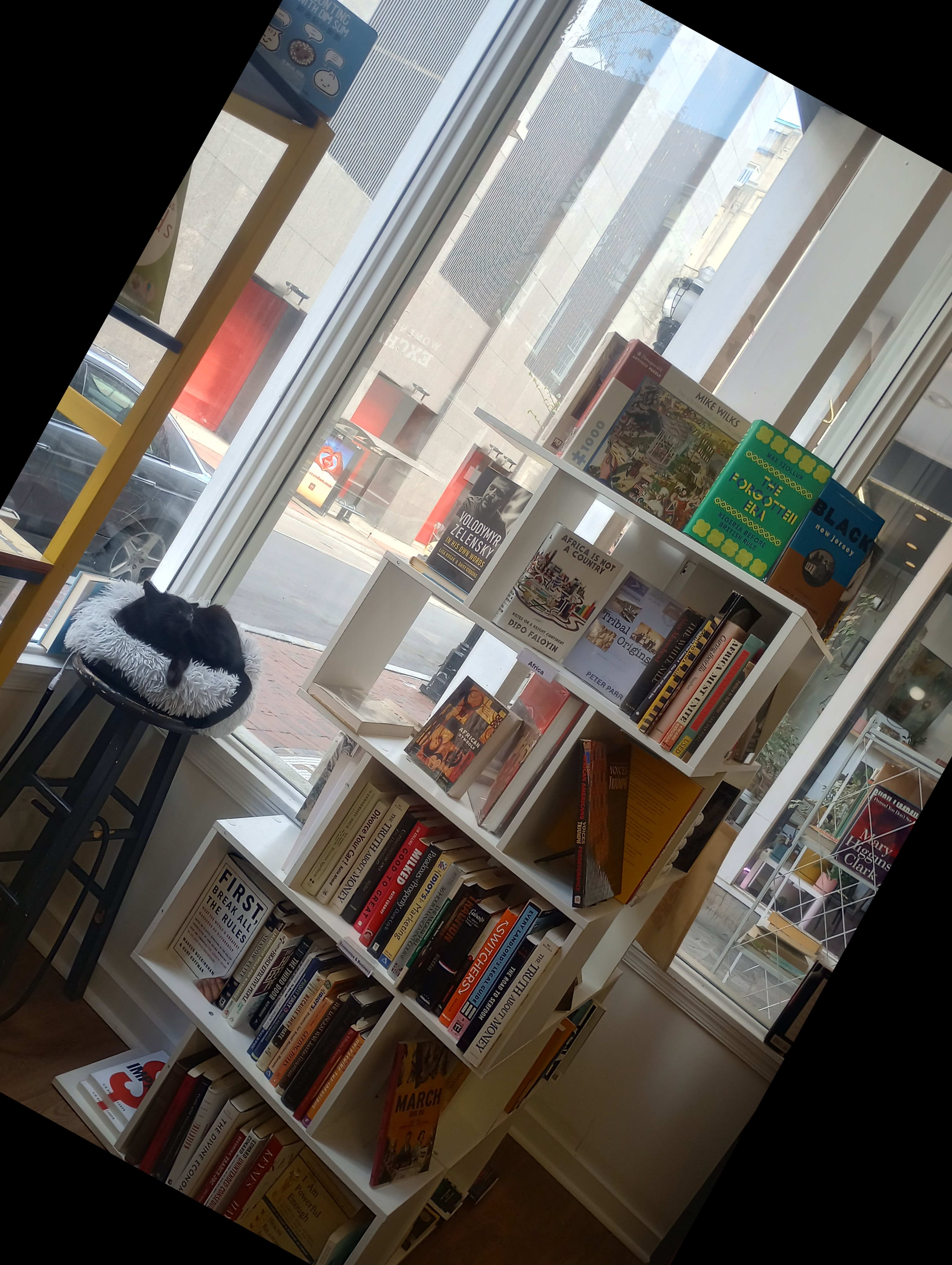 Viva Books in Baltimore, MD