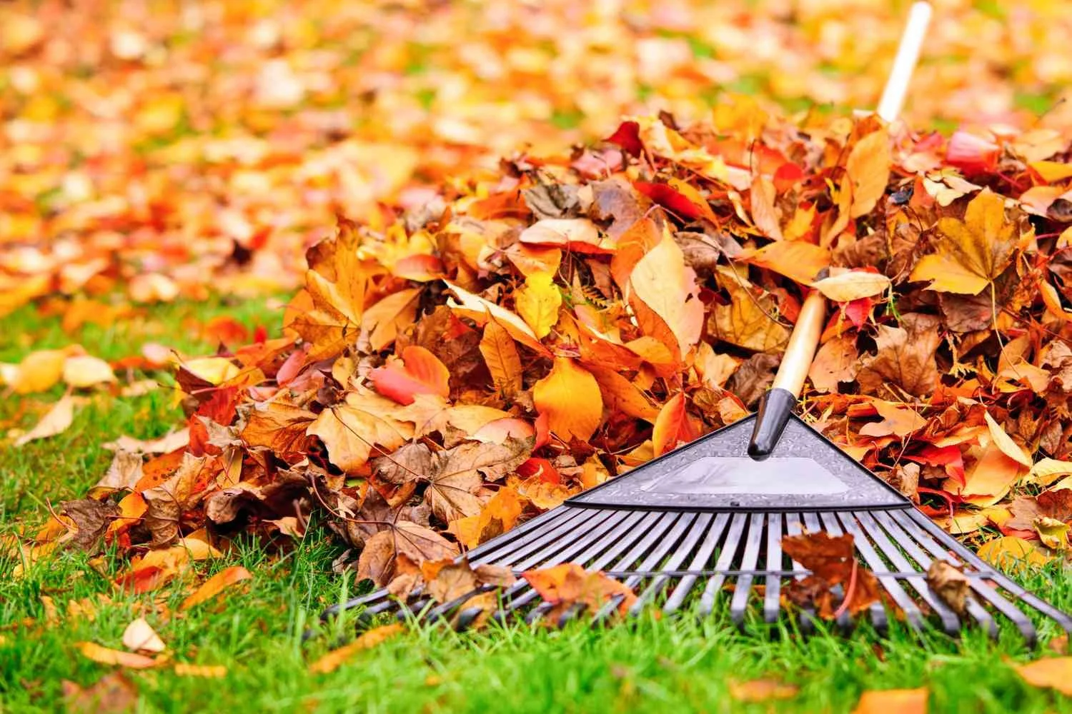 Larson's Mobile Cleaning in Superior, WI (5)