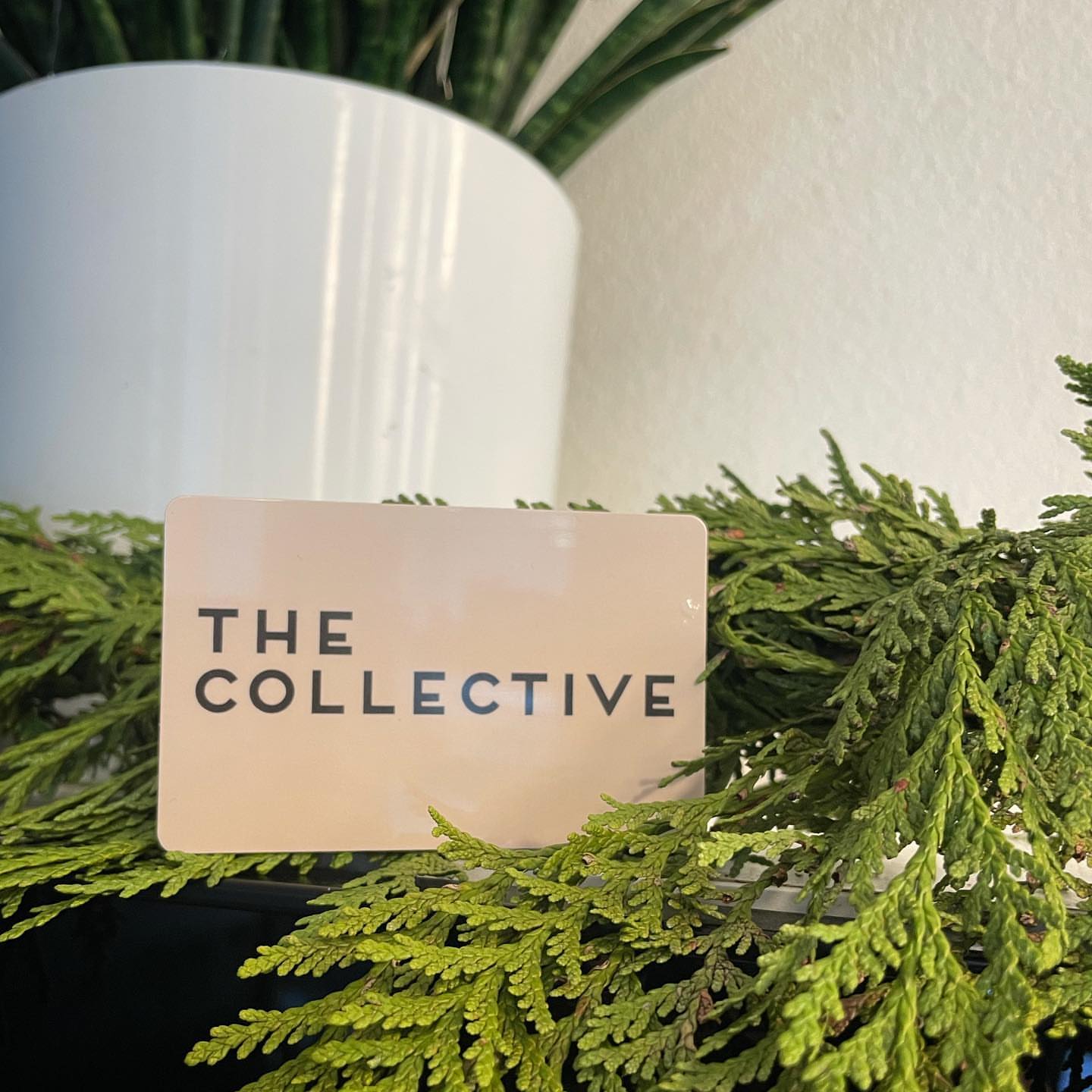 The Collective a Hair Salon in Carlsbad, CA (2)