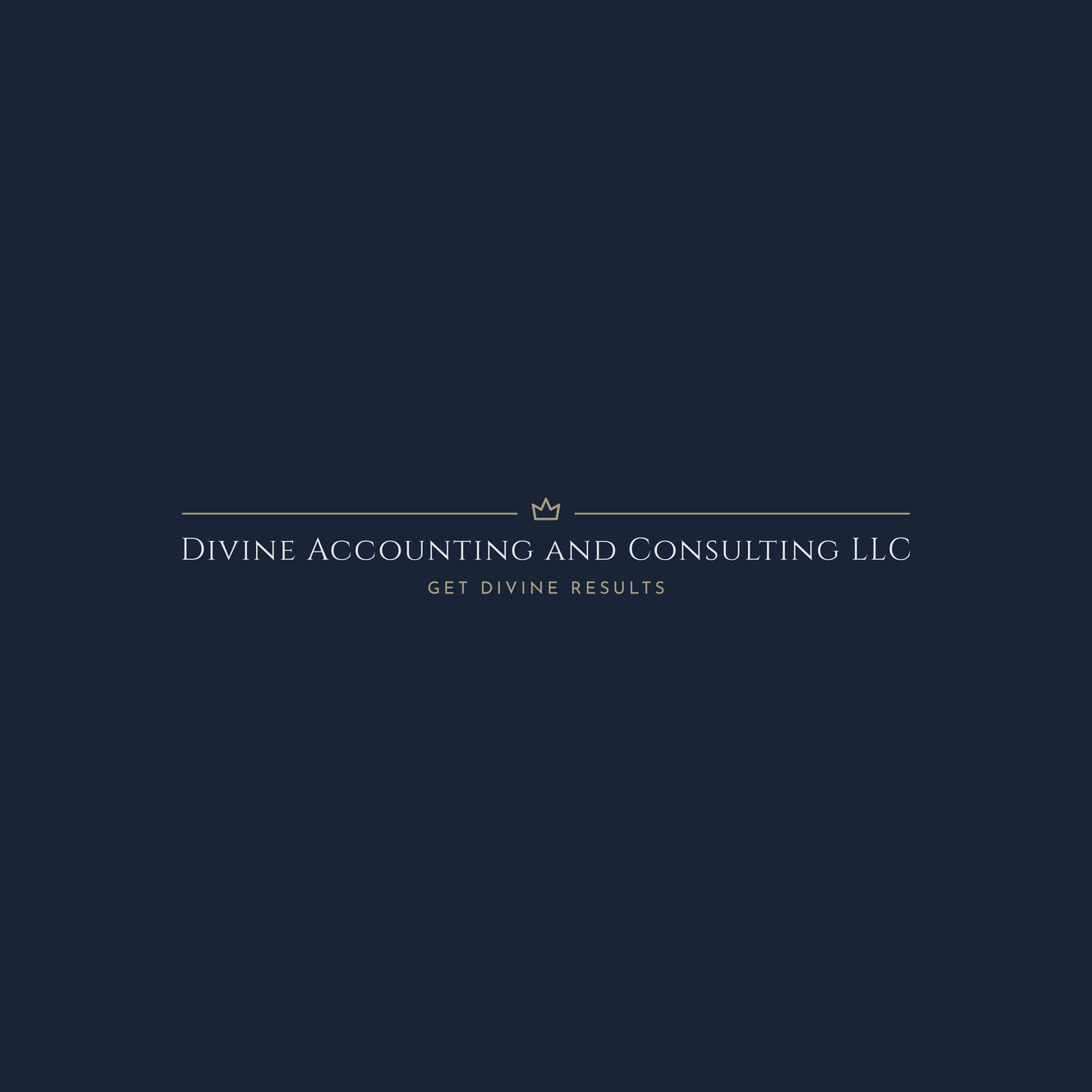 Divine Accounting and Consulting in Chicago, IL