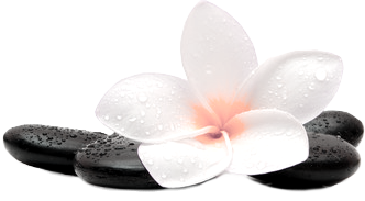Let’s Create Beauty by Spa Sanctuary in Butler, WI (4)