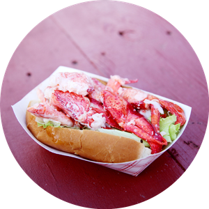 All American Grub in Knightstown, IN (6)