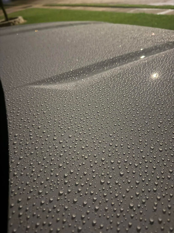 Elite Auto Detailing & Ceramic Coatings in Clute, TX (3)