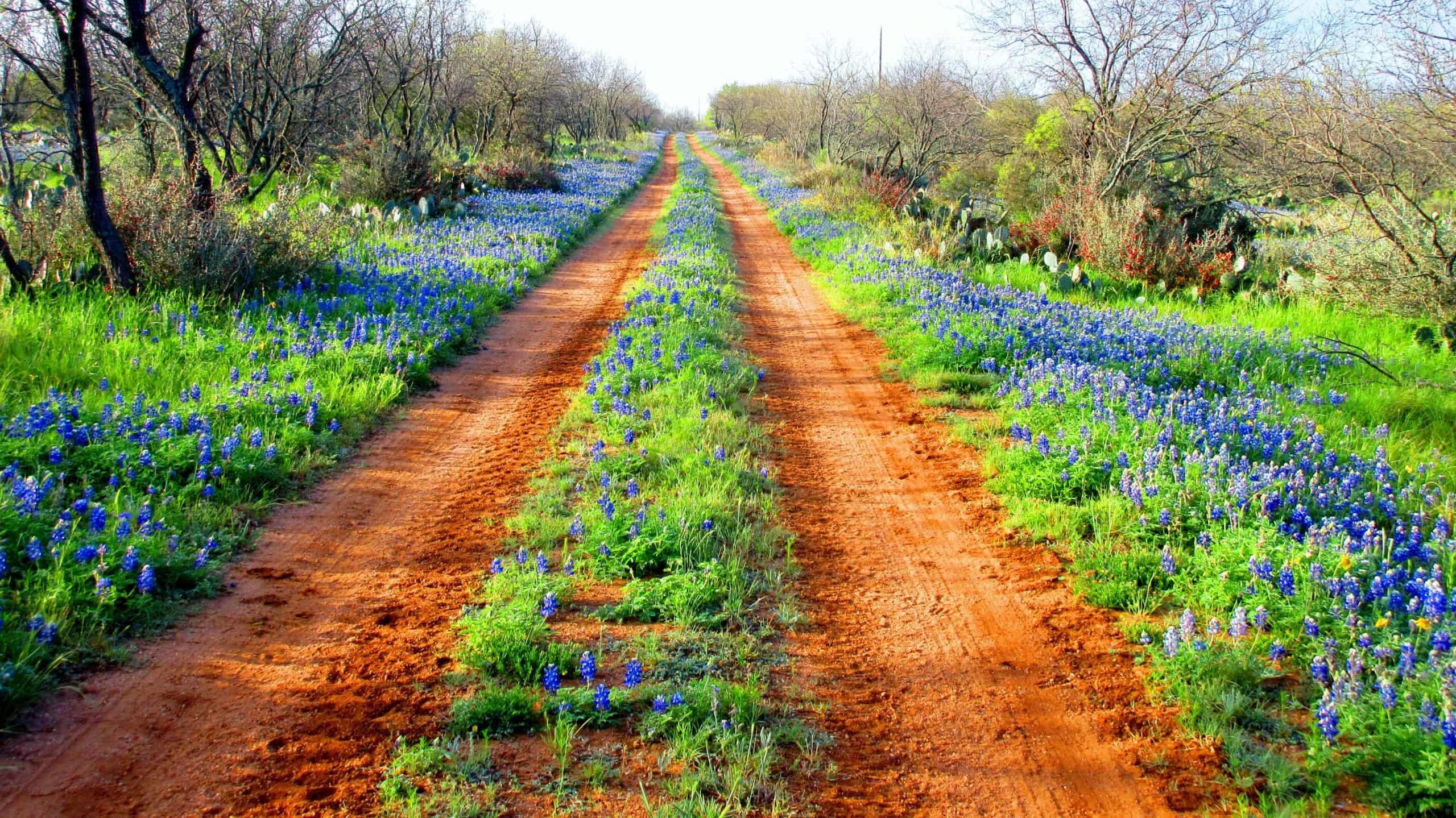 Frosty Miller Ranch Realty, LLC in Llano, TX