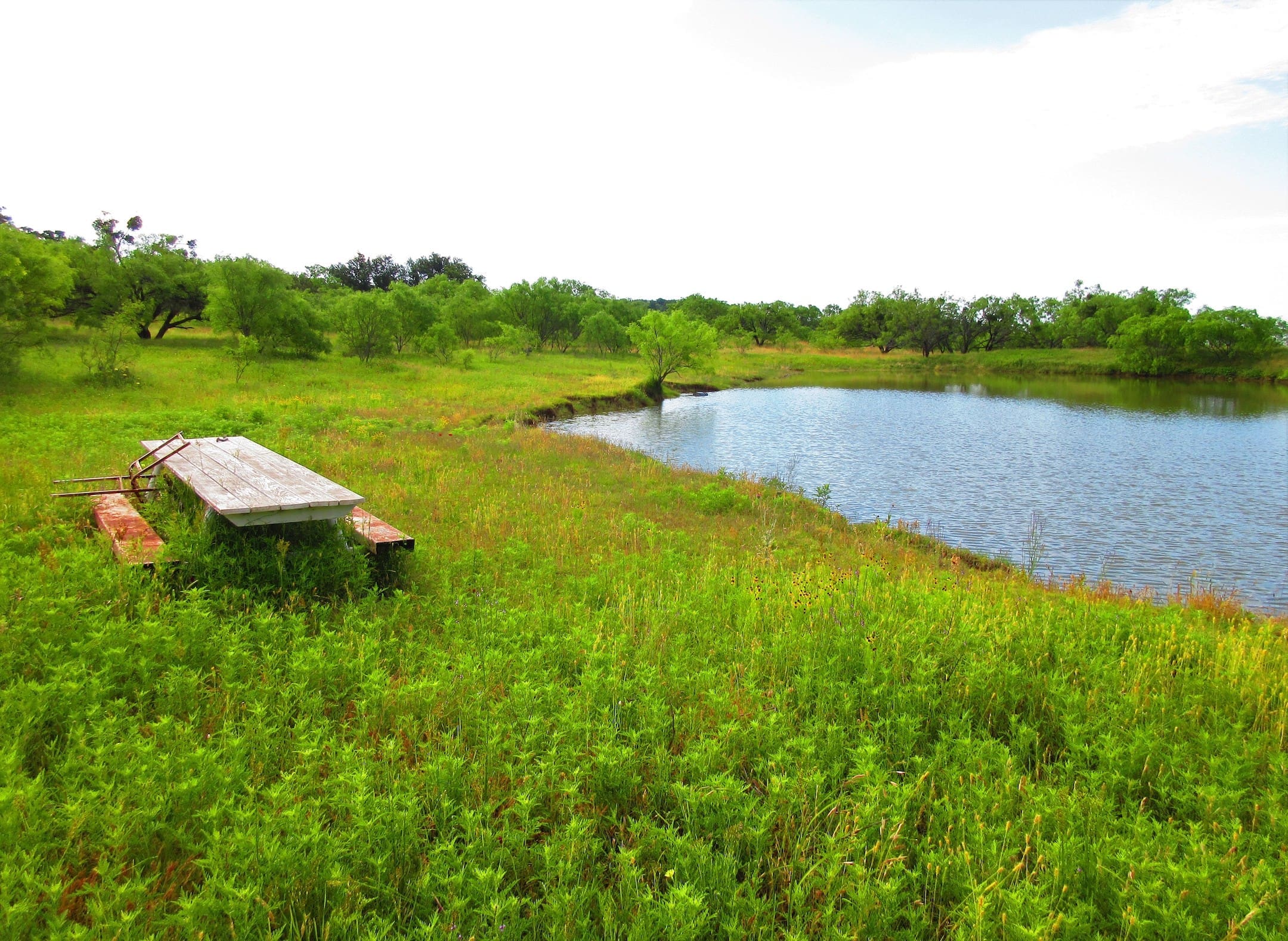 Frosty Miller Ranch Realty, LLC in Llano, TX (2)