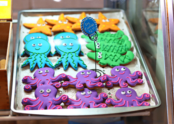 Silly Willie's Pet Boutique in New Smyrna Beach, FL (3)