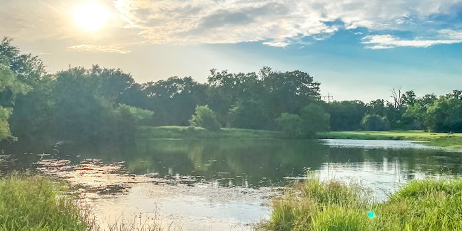 McSwane Real Estate | Farm, Ranch, and Home Specialists in Teague, TX (4)