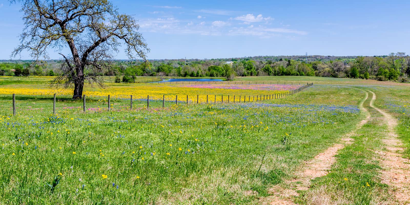 McSwane Real Estate | Farm, Ranch, and Home Specialists in Teague, TX (6)