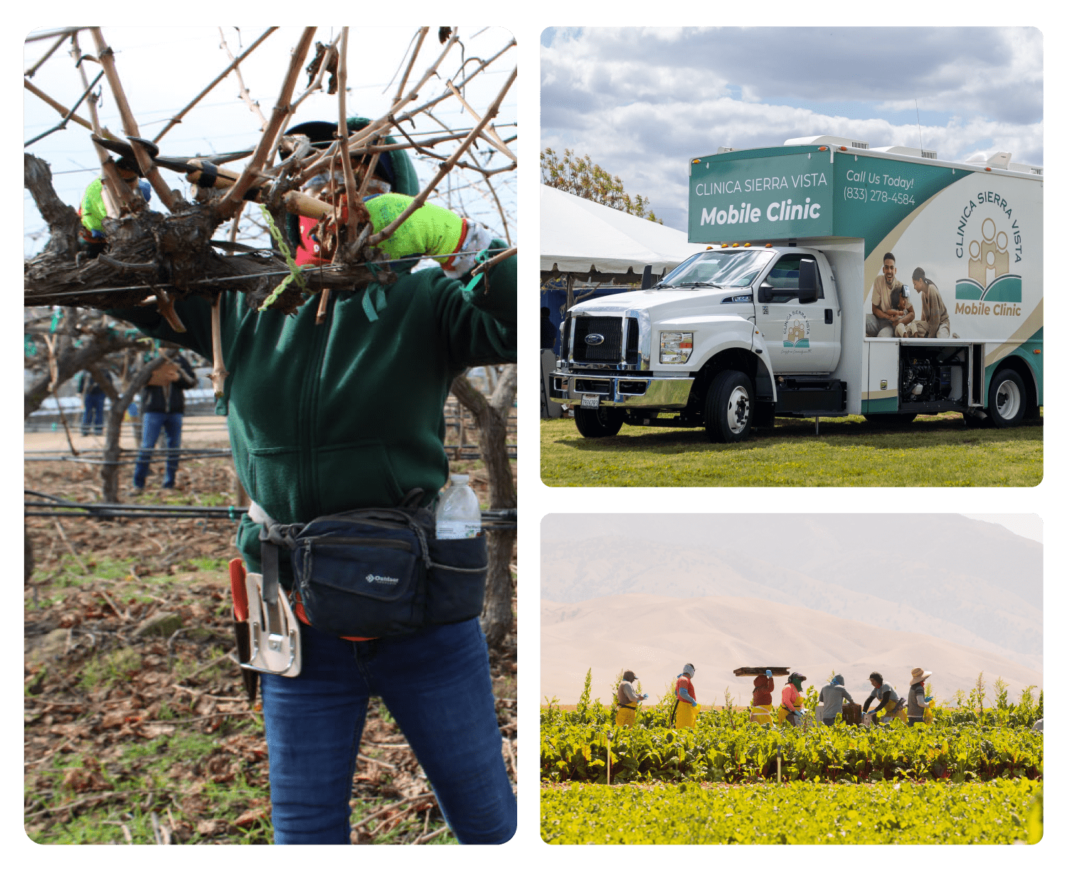 California Farmworker Foundation in Delano, CA