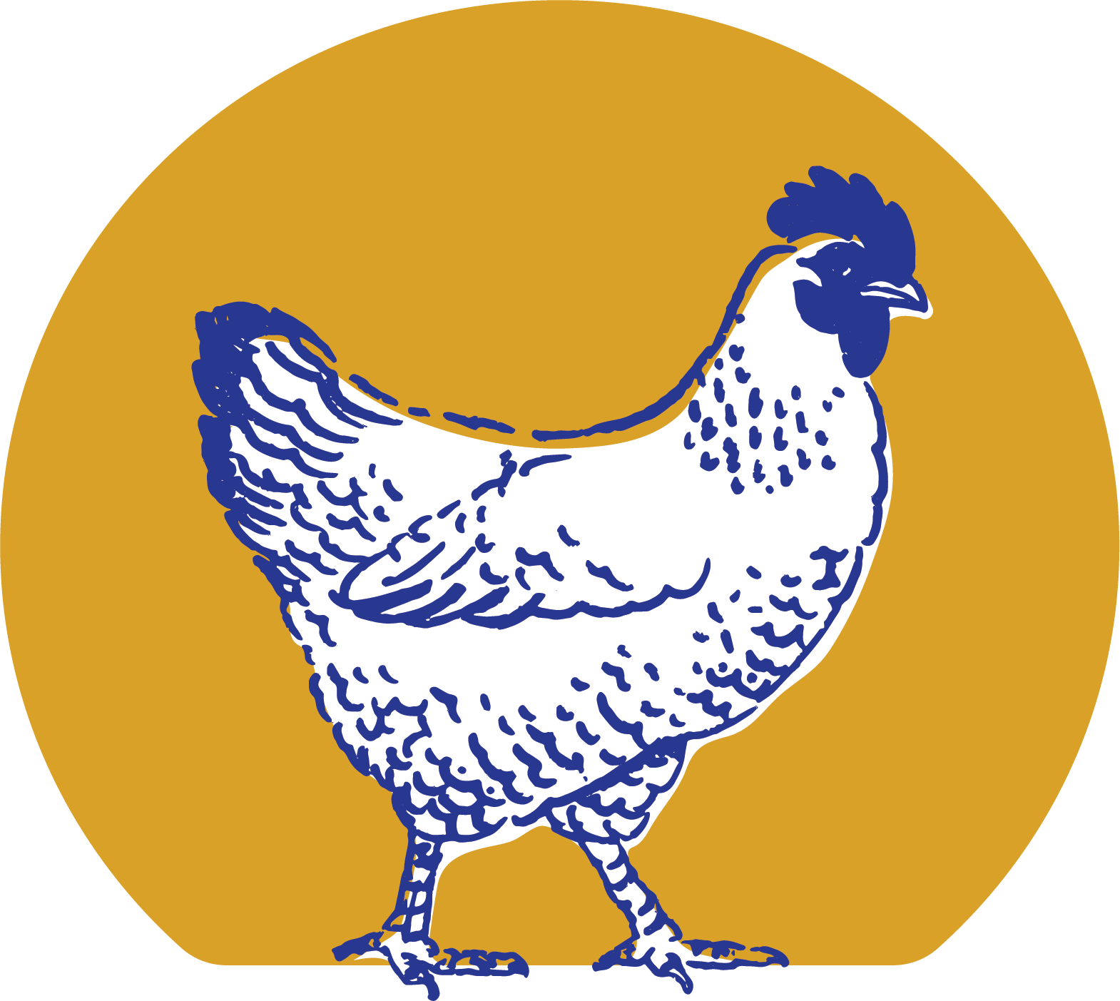The Blue Hen Café in St. Augustine, FL (4)