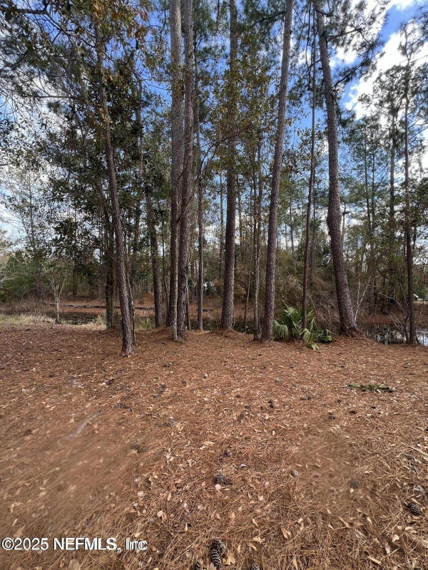 JULIE MORROW PREMIER REALTY in Starke, FL