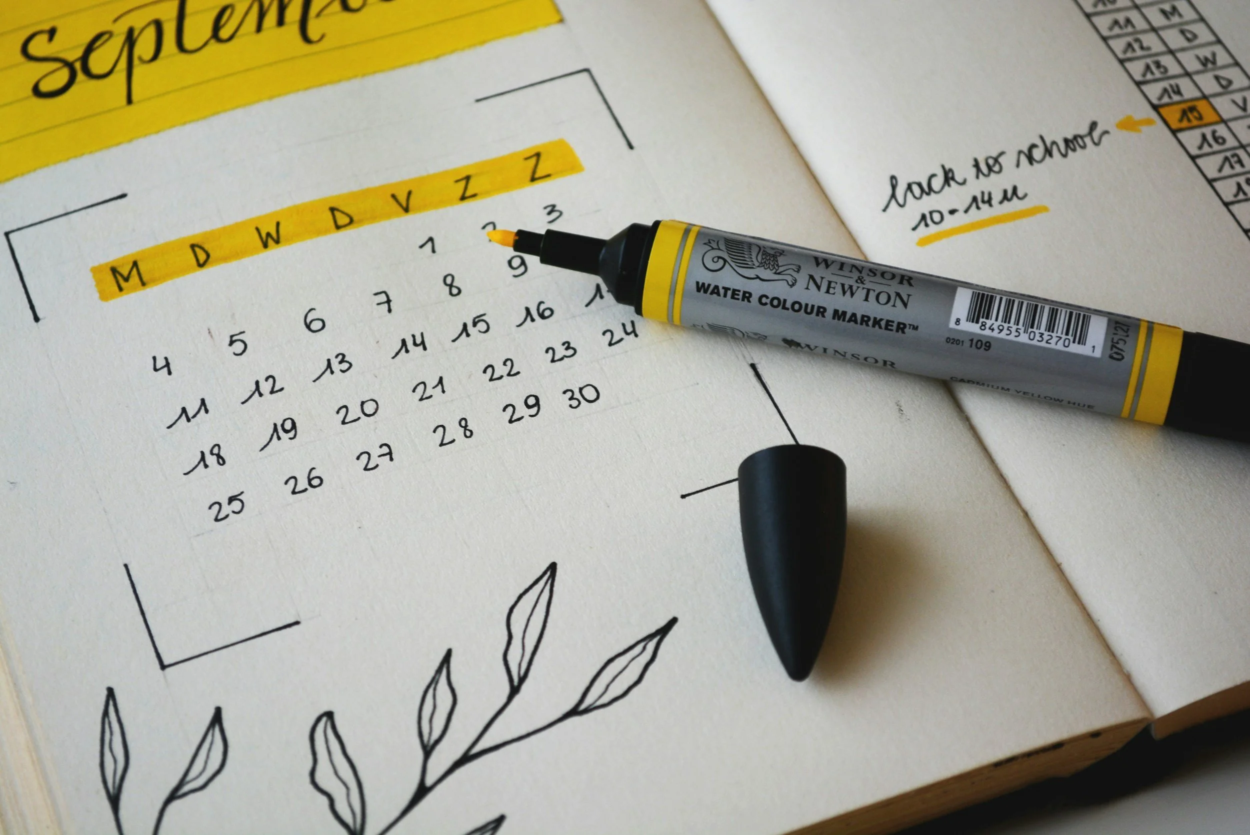 BetterBooks Accounting Solutions LLC in Harvey, LA