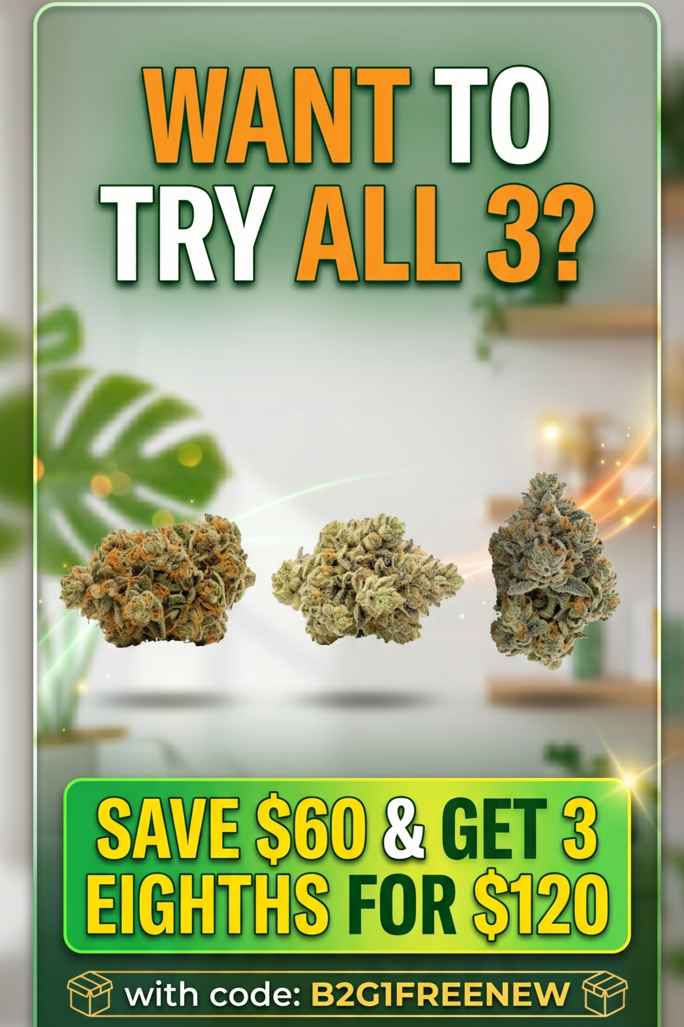 Florida Cannabis Supply Zephyrhills in Zephyrhills, FL