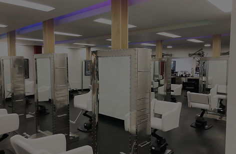 NY Jungle Salon & Spa in Paramus, NJ (5)