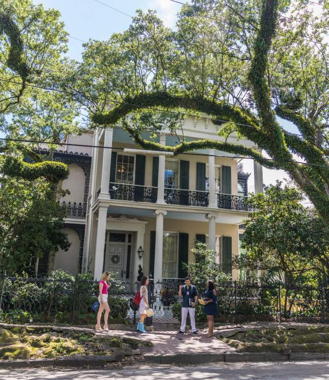 New Orleans & Company in New Orleans, LA (3)