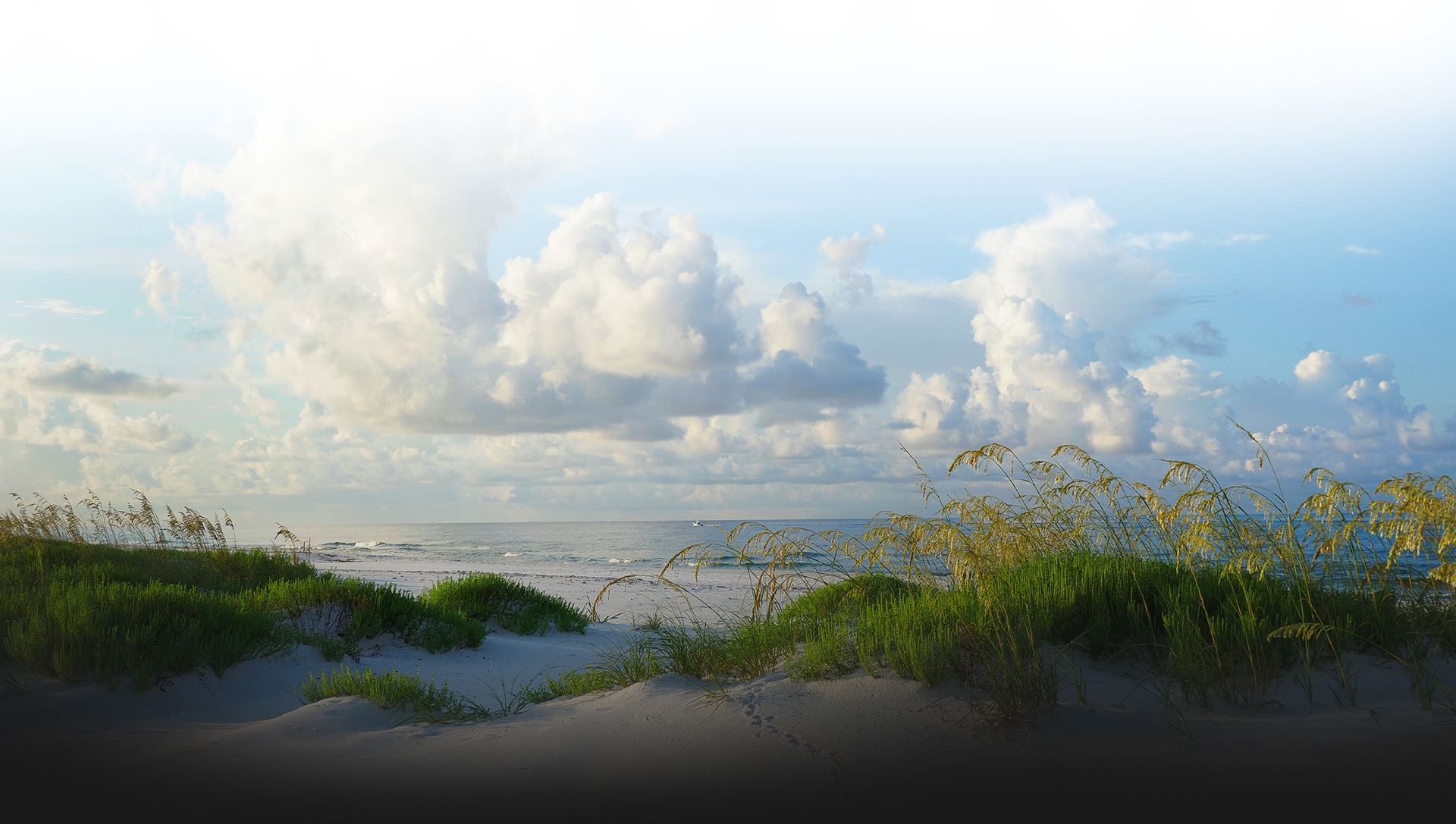 Perry & Young in Panama City Beach, FL (2)