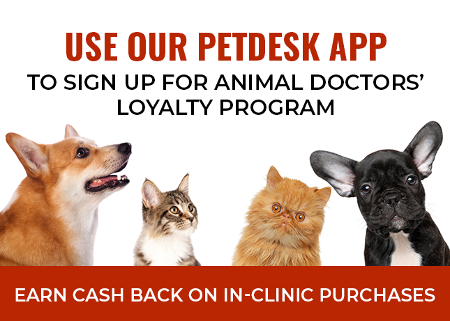 Animal Doctors of North Texas in Benbrook, TX