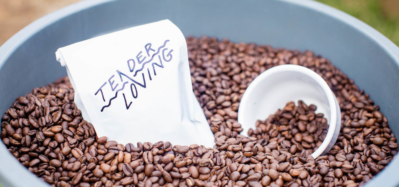 Tender Loving Coffee in Chico, CA (6)