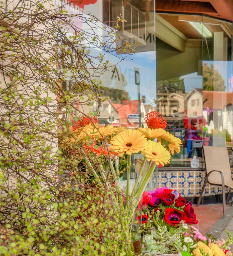 Tanja Odzak, Realtor, eXp Realty in Oakland, CA (2)
