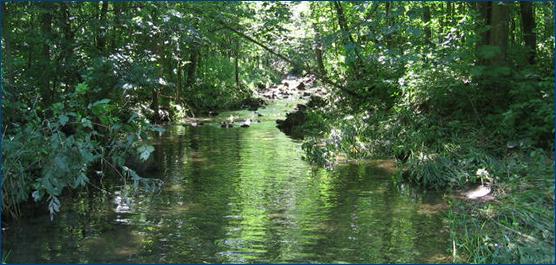 Lake Pepin Real Estate in Pepin, WI (2)