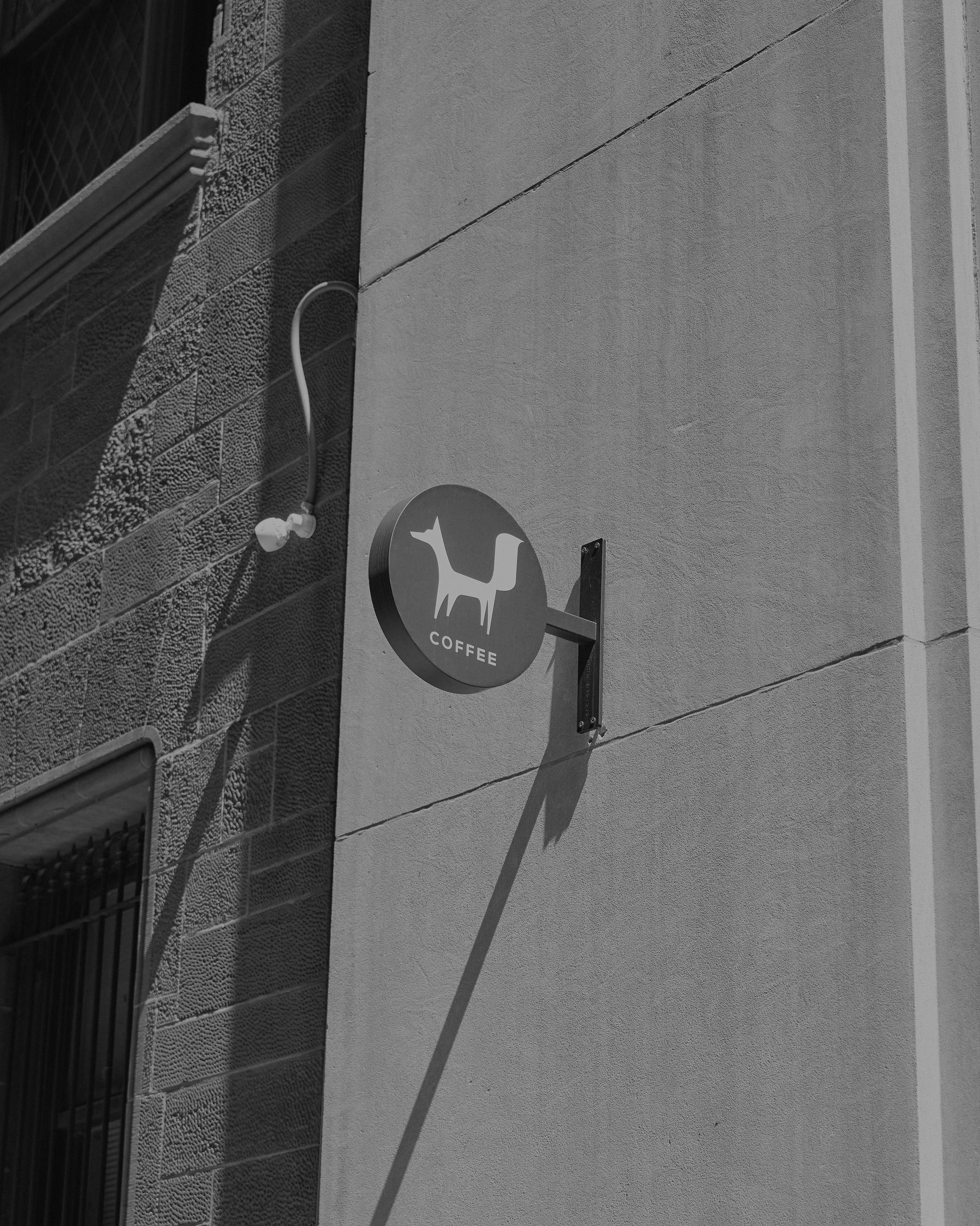 Black Fox Coffee in Austin, TX