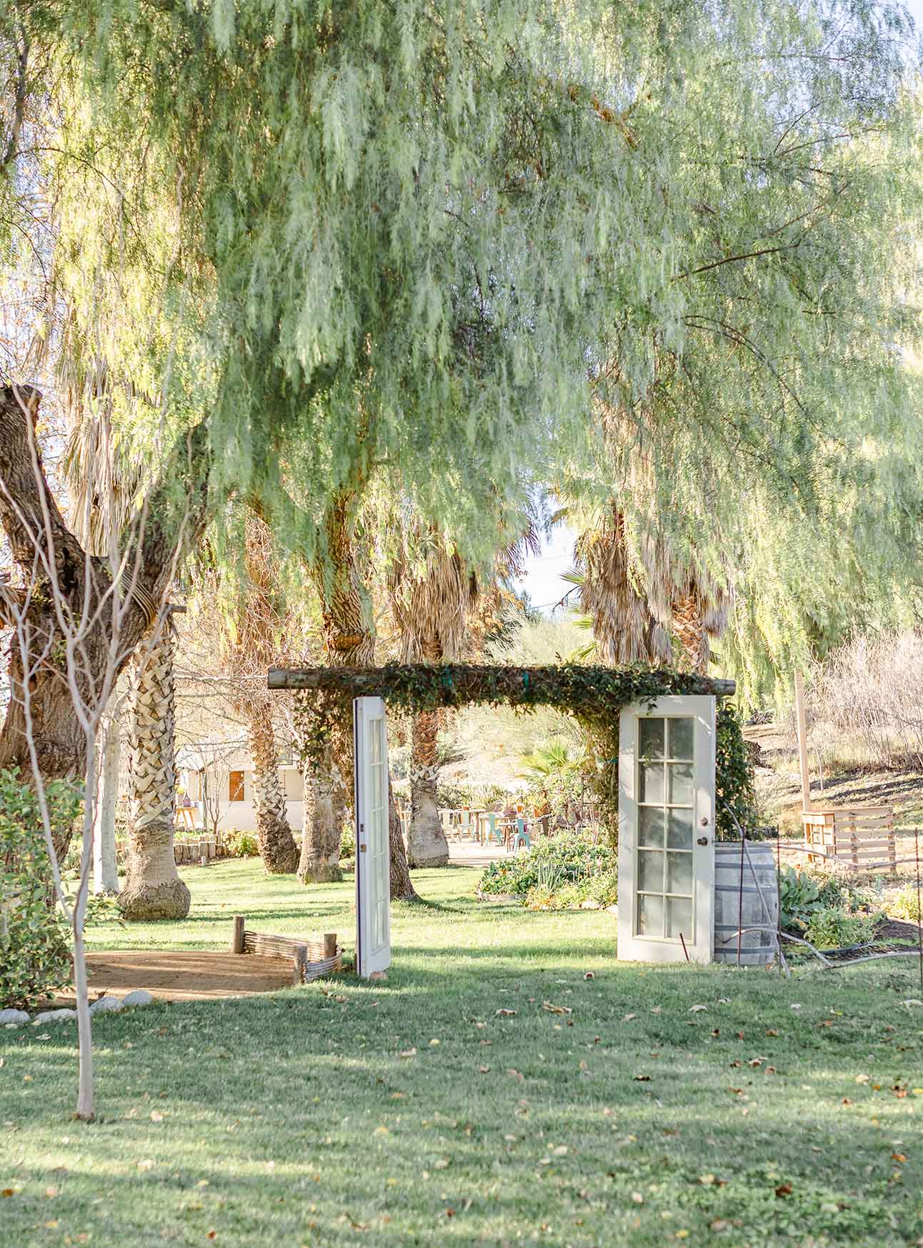 Temecula Olive Oil Company in Temecula, CA (3)
