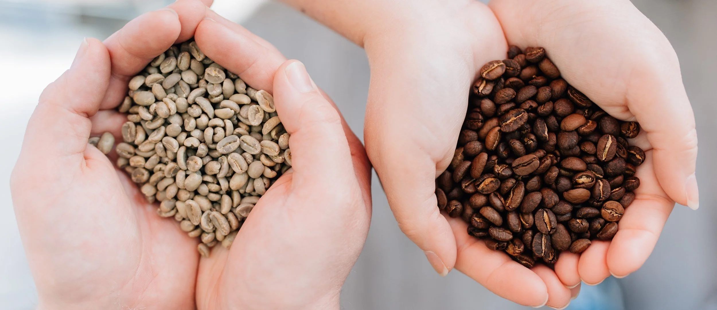 Living Room Roasters in Toccoa, GA (5)