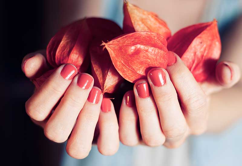 Express Nails & Spa in Lancaster, PA (6)