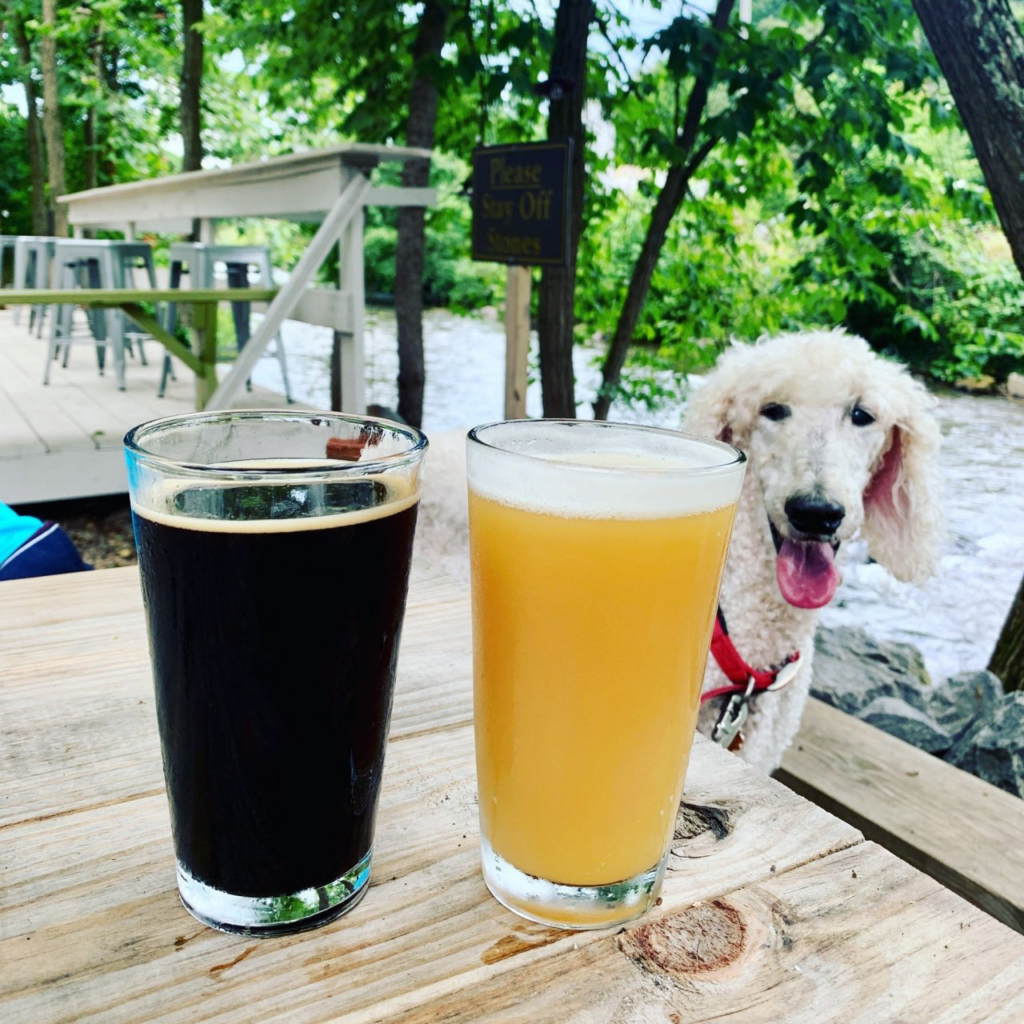 Frog Level Brewing Co in Waynesville, NC