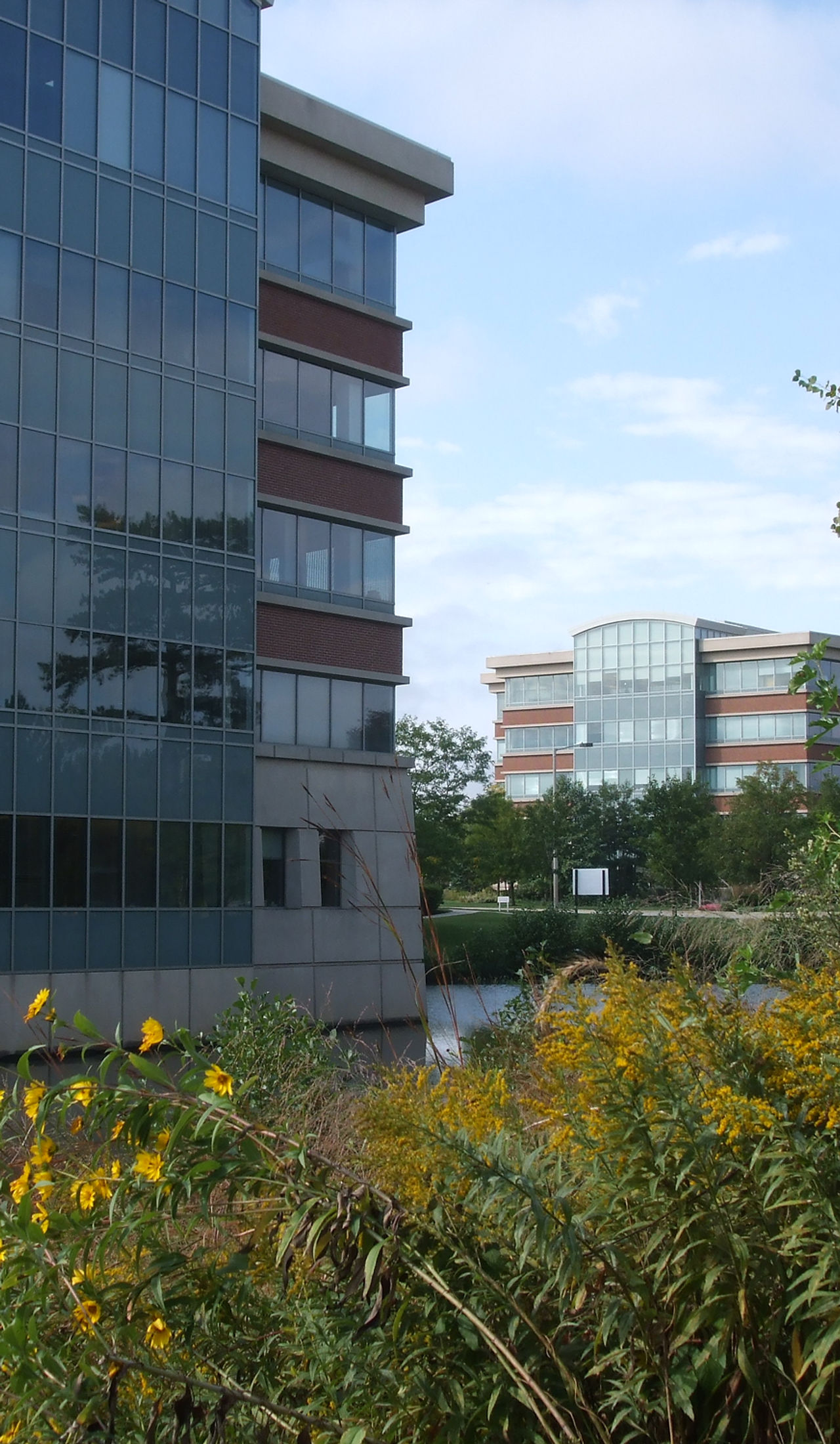 Millbrook Real Estate Company in Buffalo Grove, IL