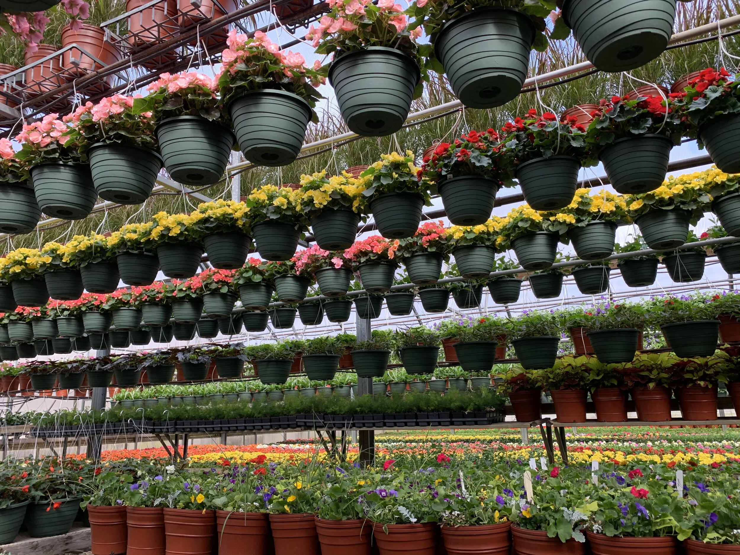 Cerny's Greenhouse of Tomahawk, Inc. in Tomahawk, WI