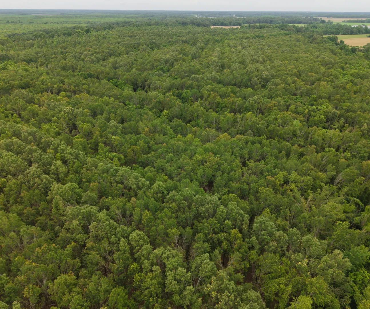 Tom Smith Land And Homes in Madison, MS (3)
