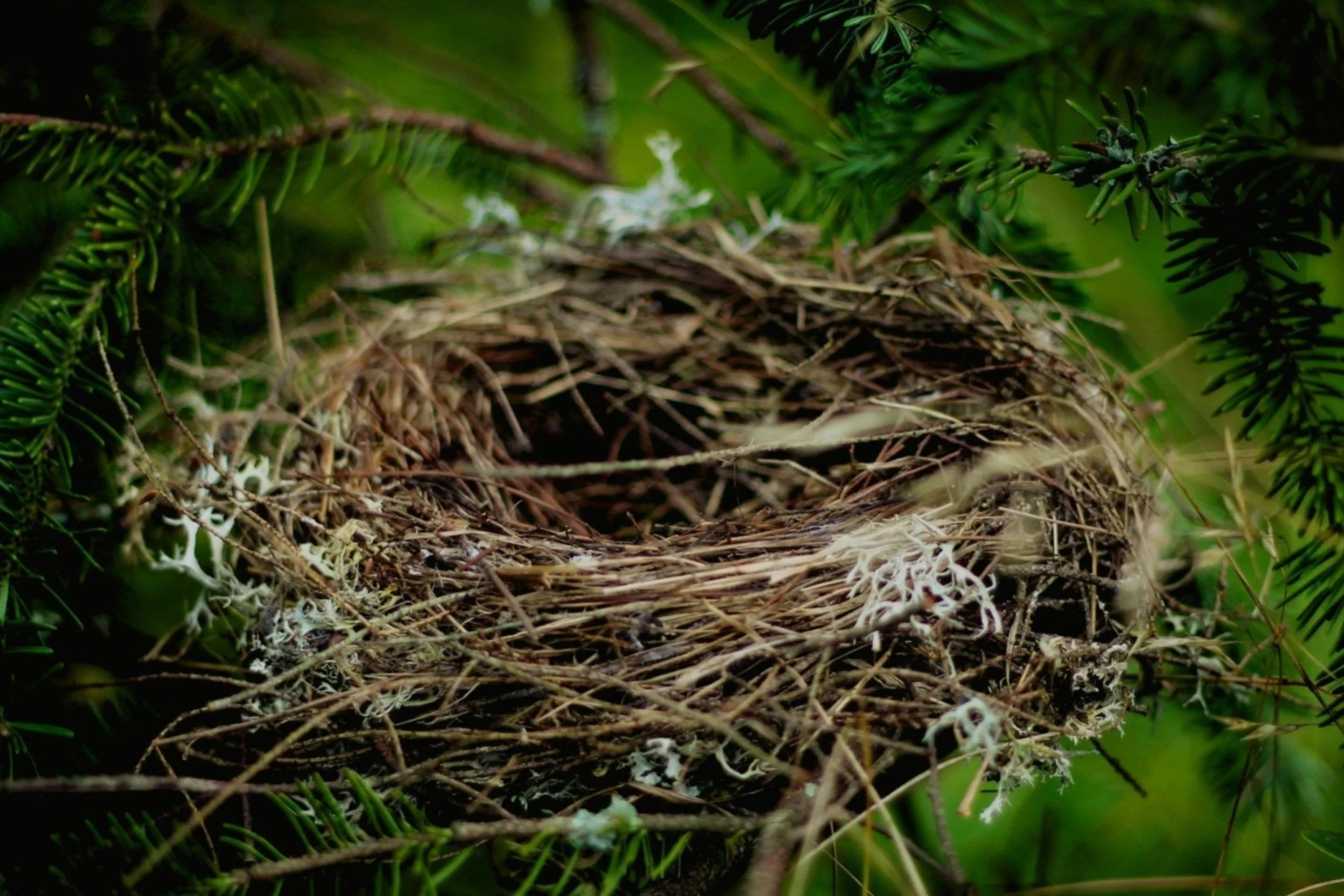 The Rusktic Soul in Bloomer, WI (3)