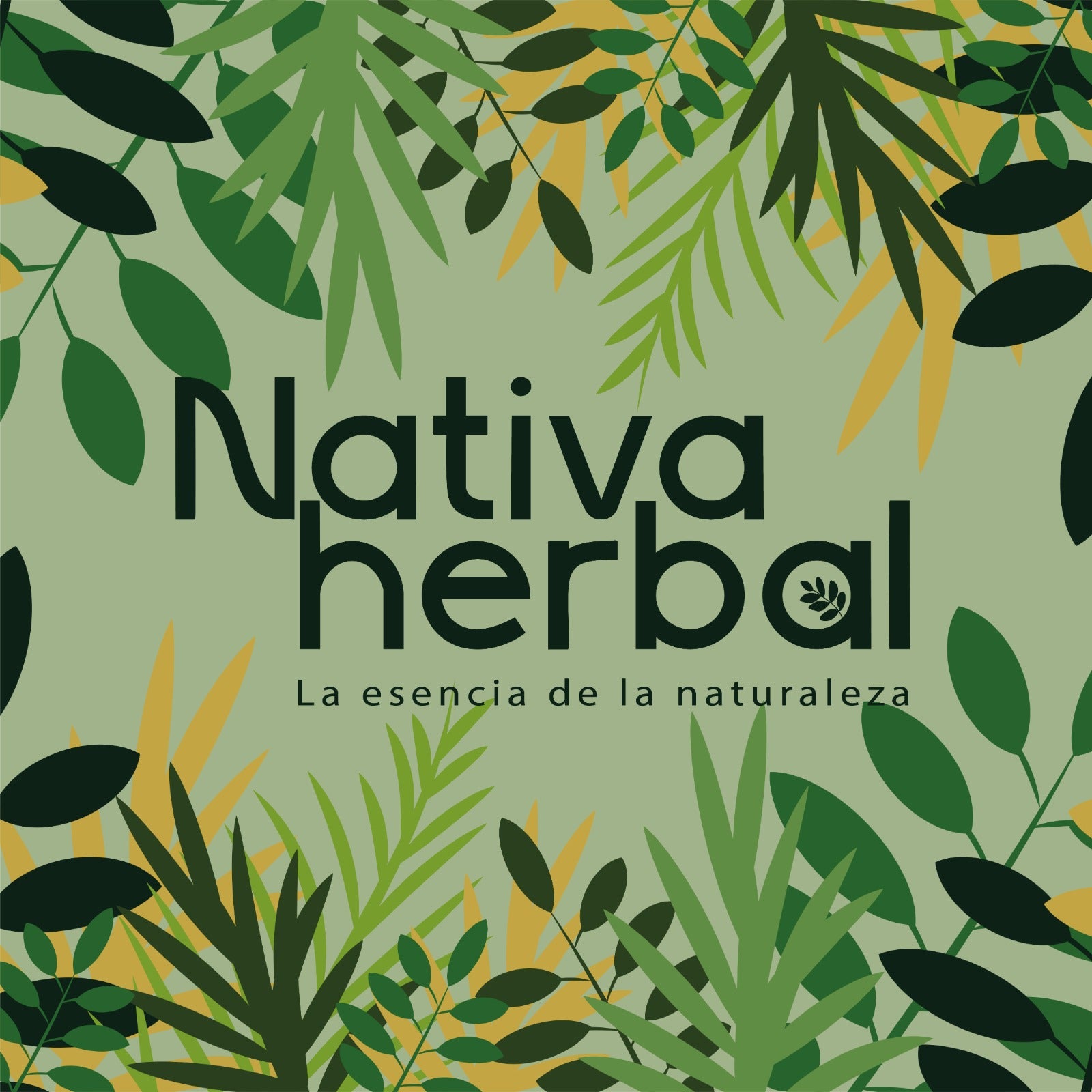 Nativa Herbal in Pendergrass, GA (5)