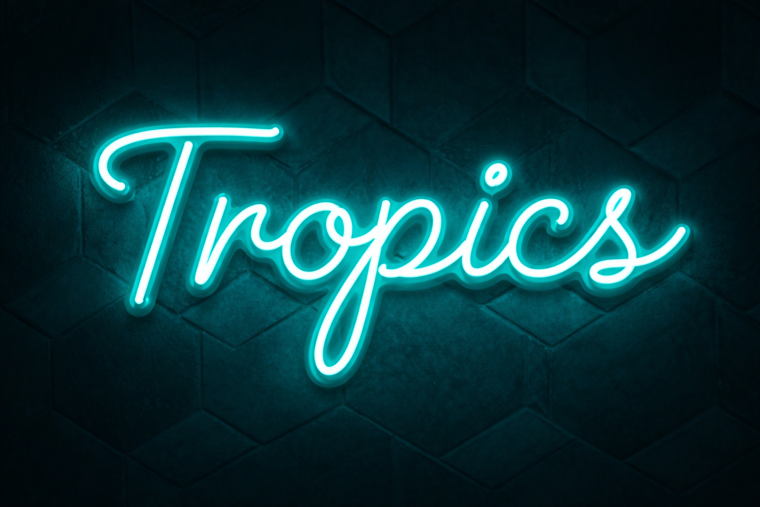 Tropics in Morgantown, WV (3)