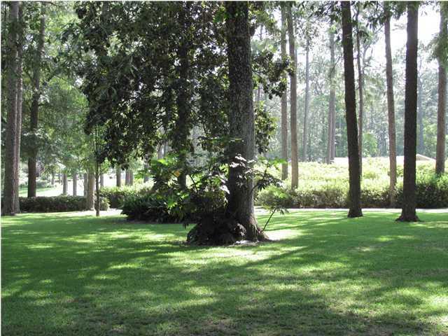 Naylor Realty in Defuniak Springs, FL (2)