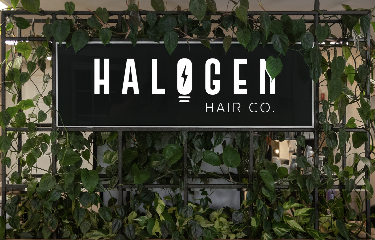 Halogen Hair Co. in Hazle Township, PA