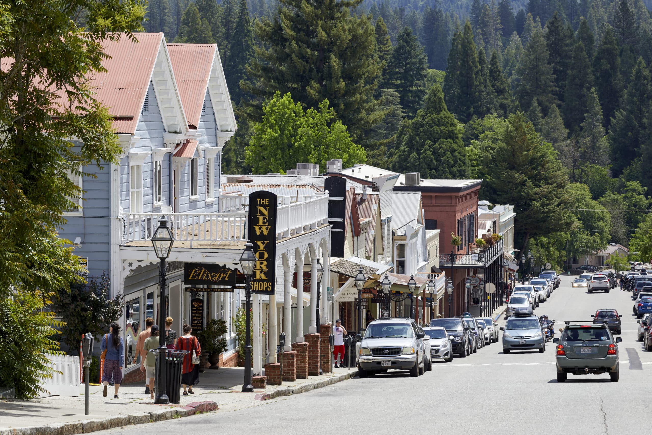 Mapu Empanadas & More in Nevada City, CA (6)