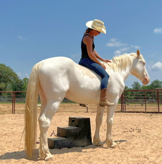 Equestrian Resolutions, LLC in Jacksonville, TX