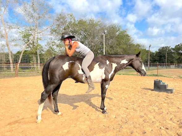 Equestrian Resolutions, LLC in Jacksonville, TX (3)