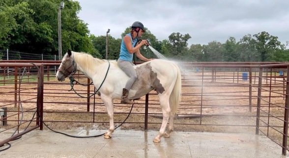 Equestrian Resolutions, LLC in Jacksonville, TX (4)