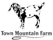 Creations Salon and Mountain Soapery in Hayesville, NC (2)