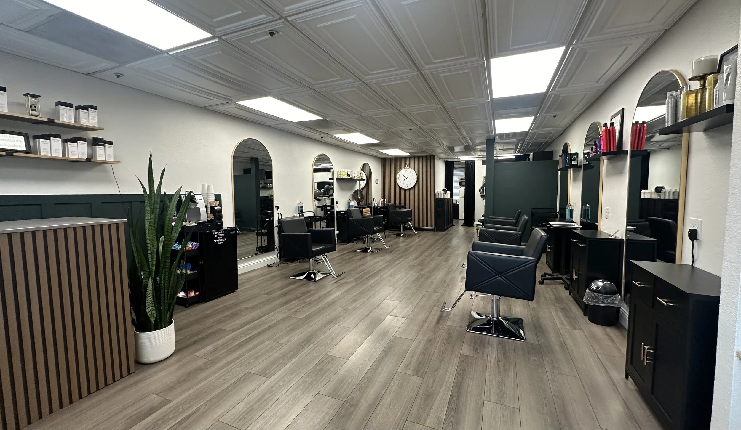 Austin Louis Salon in Dublin, CA (3)