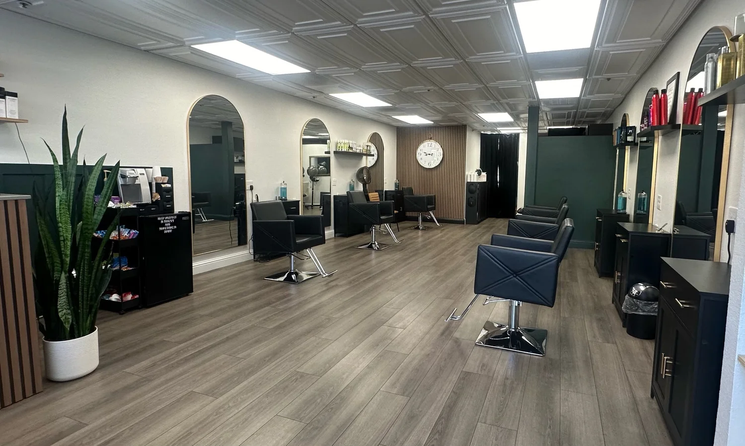 Austin Louis Salon in Dublin, CA (6)