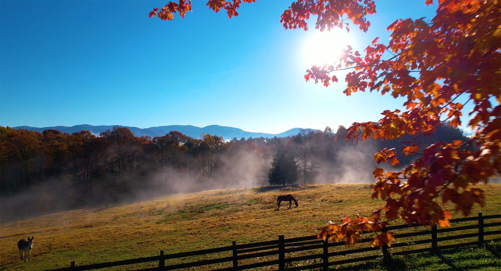 Regina Payne Realtor/The Cindy West Team in Ellijay, GA (2)
