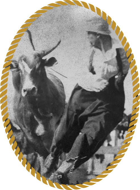 Charlie's Cattle Co. in Odessa, TX (3)