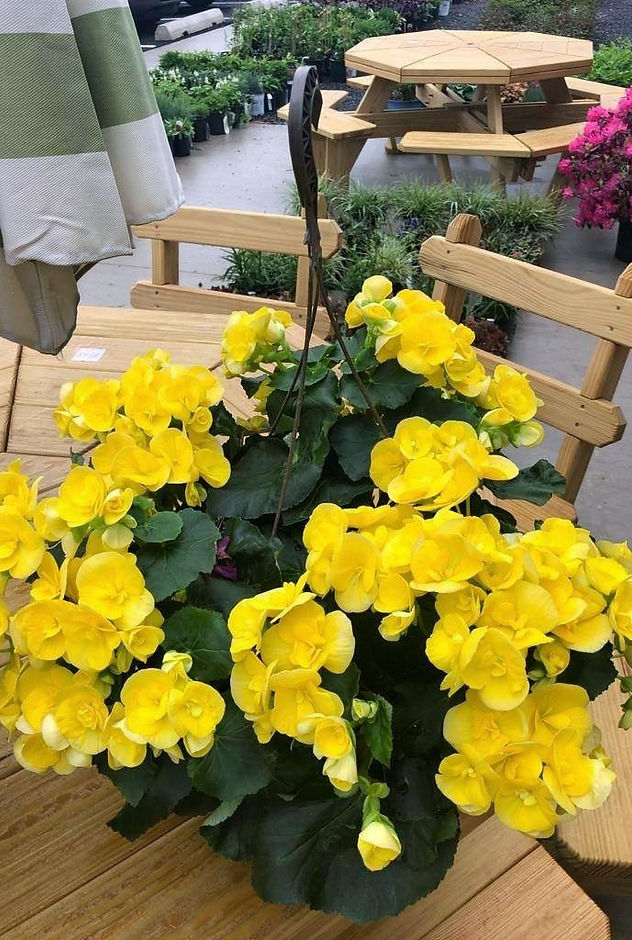 Davy's Fresh Market in Lewisburg, PA (4)