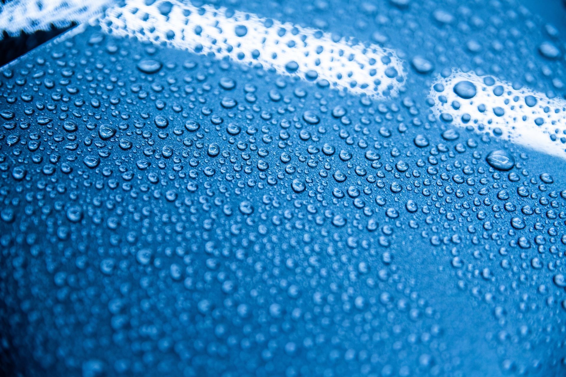 Mr. Sparkle Detailing & Paint Protection Film in Ormond Beach, FL (3)