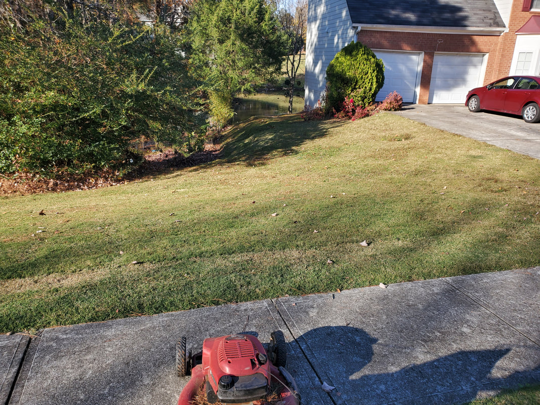 Thomas Affordable Lawn Care LLC in Monroe, GA (2)