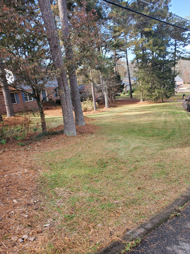 Thomas Affordable Lawn Care LLC in Monroe, GA (6)